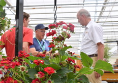 Aardbeienkenners in gesprek.